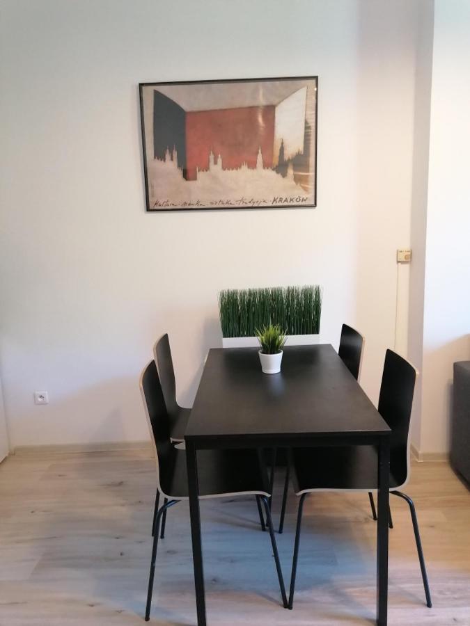 Old Cracow Apartment Mazowiecka 11 Krakkó Kültér fotó